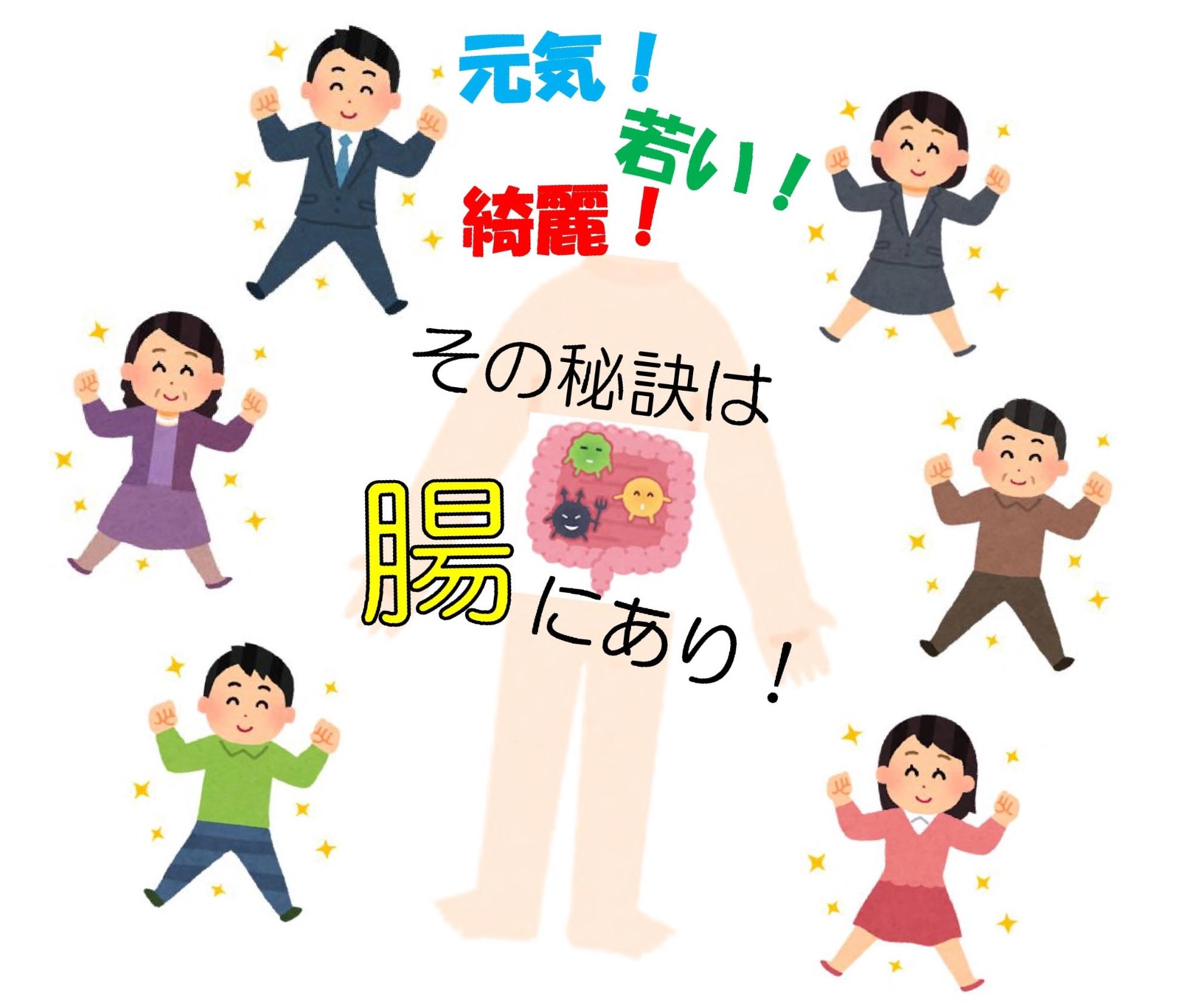 おなかの仕組み