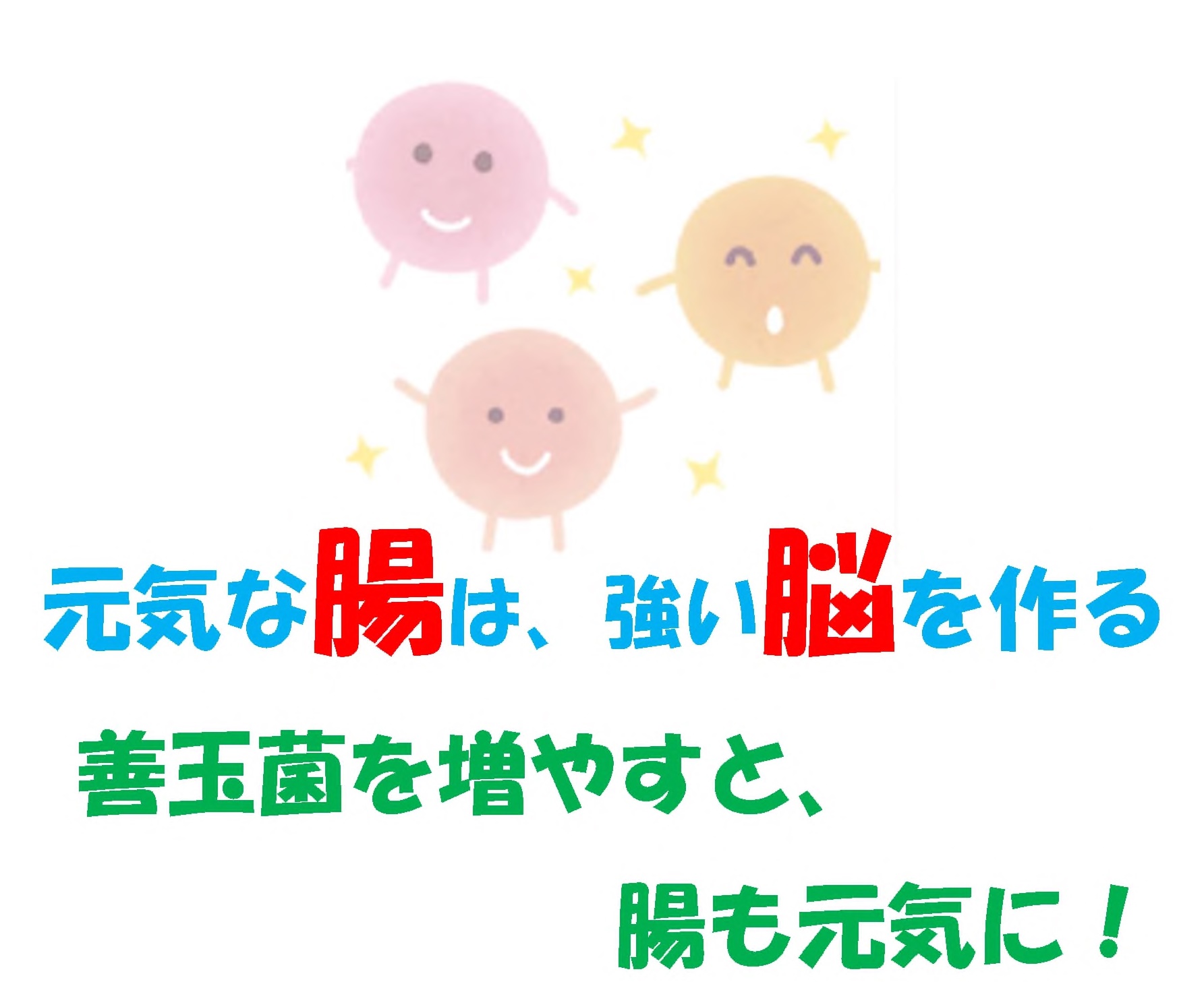 腸と脳の相関関係