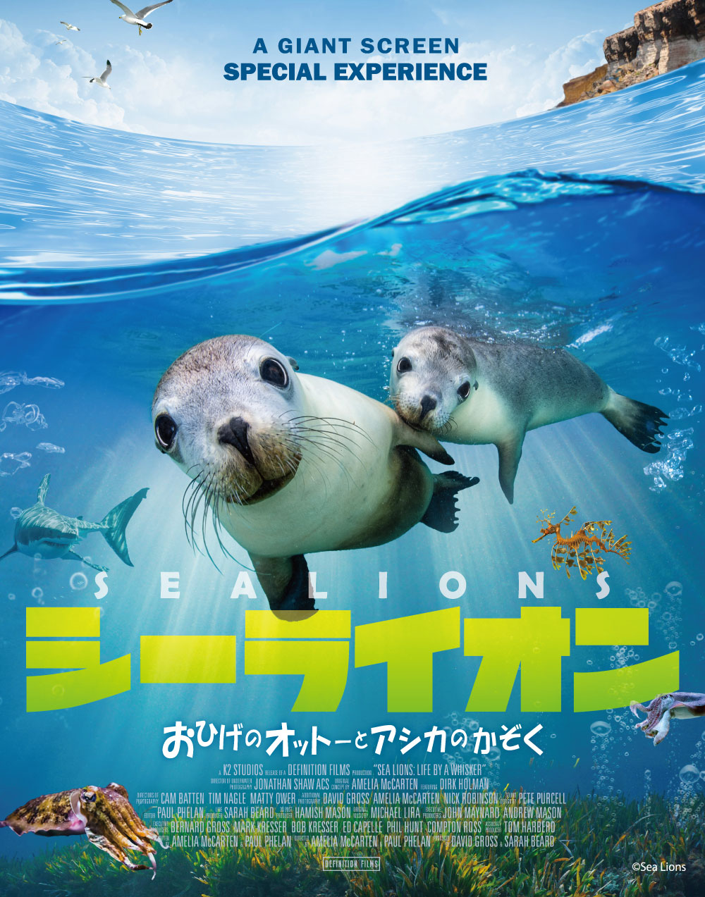 シーライオンポスター
