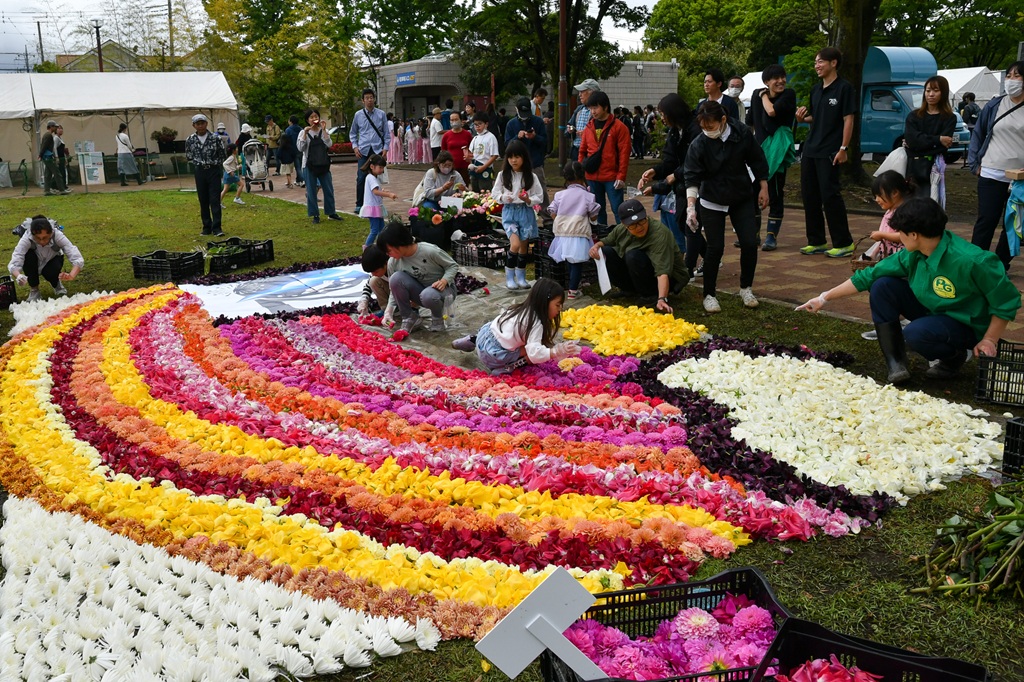 廃棄予定の花を使って制作されたフラワーカーペット