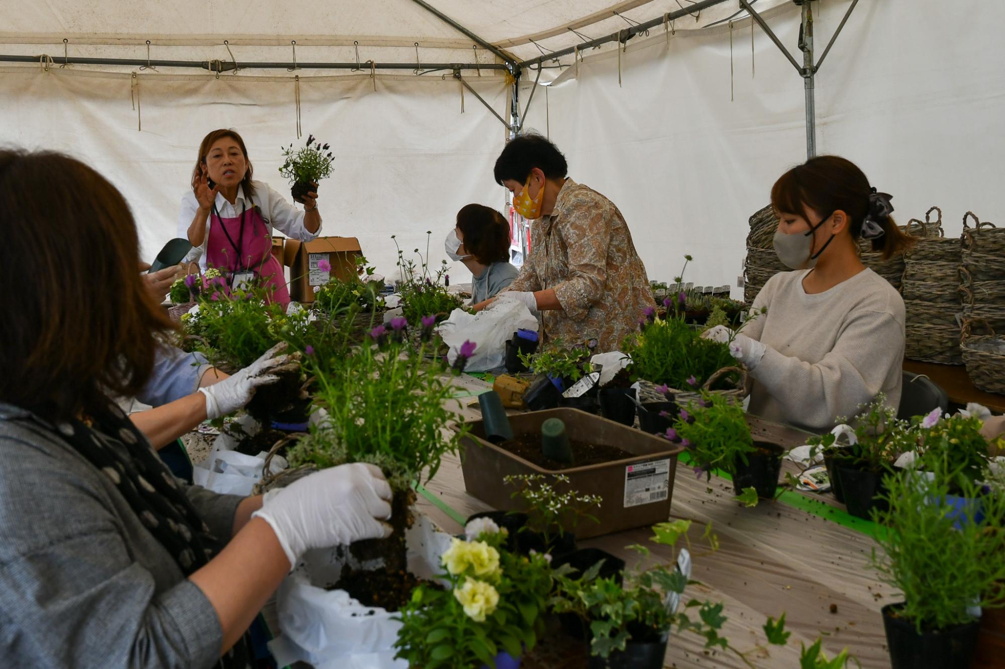 寄せ植えなども教室も開催