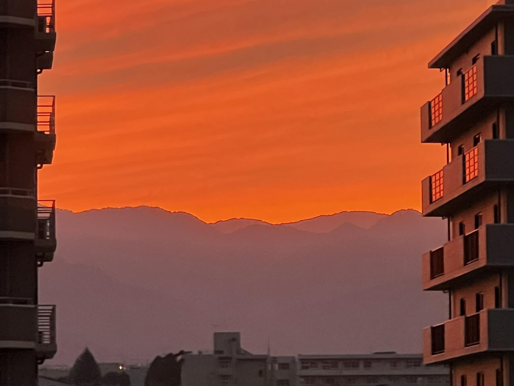 ナイスアツギ大賞 あゆちゃんねる