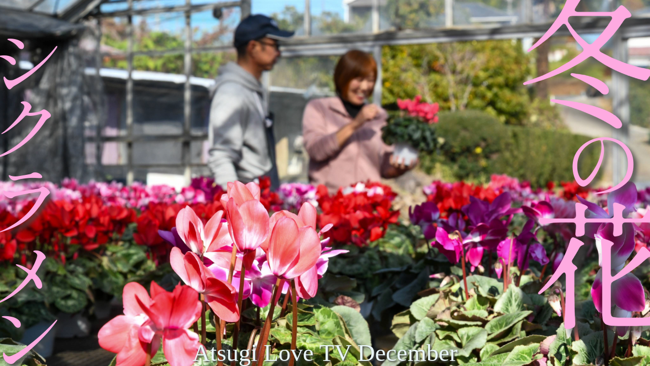 あつぎ愛テレビ2025年12月1回目