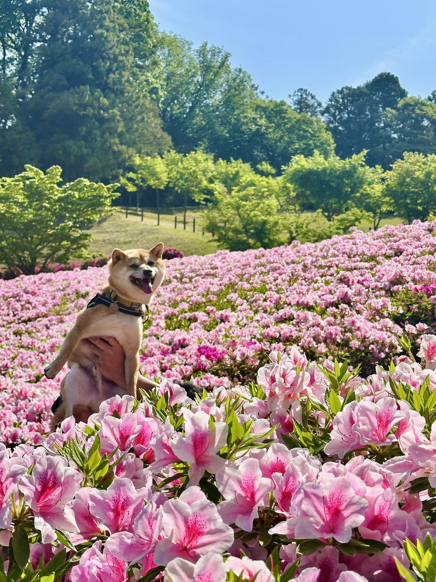 あゆちゃんねるが選んだナイスアツギ大賞の写真