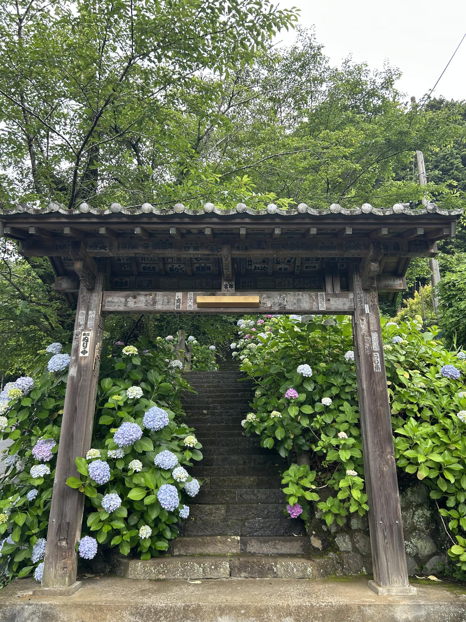 あゆちゃんねるが選んだナイスアツギ大賞の写真