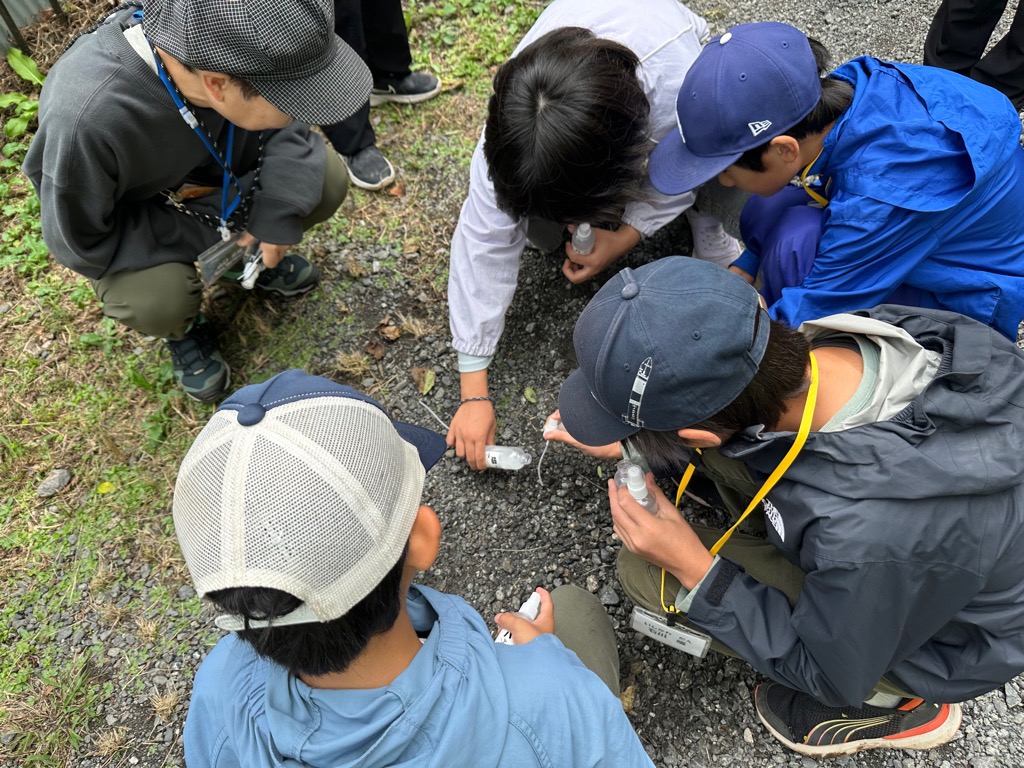 みんなで森に入って実験