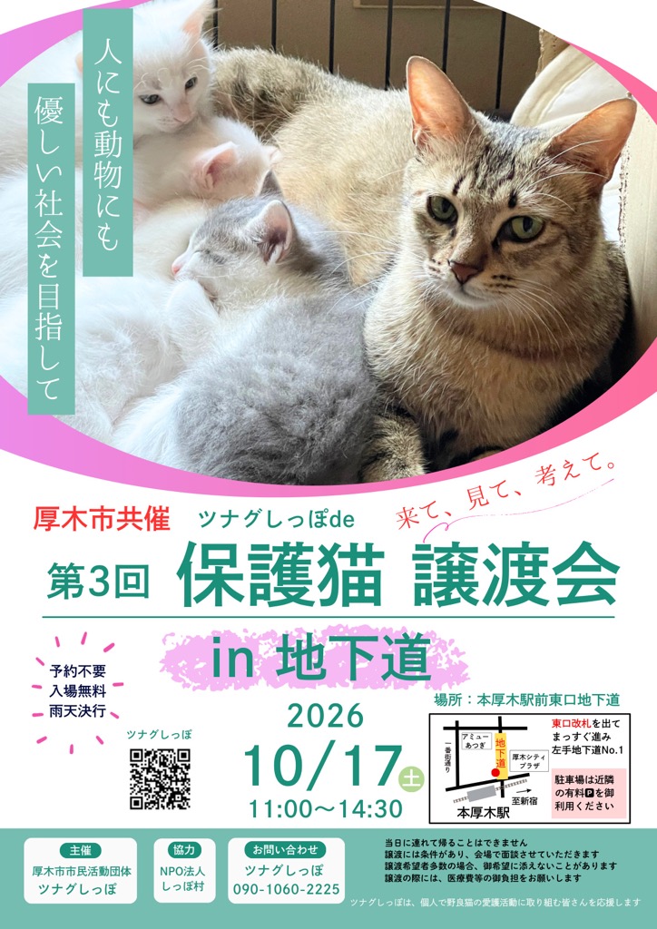 「ツナグしっぽde保護猫譲渡会in地下道」のポスター画像