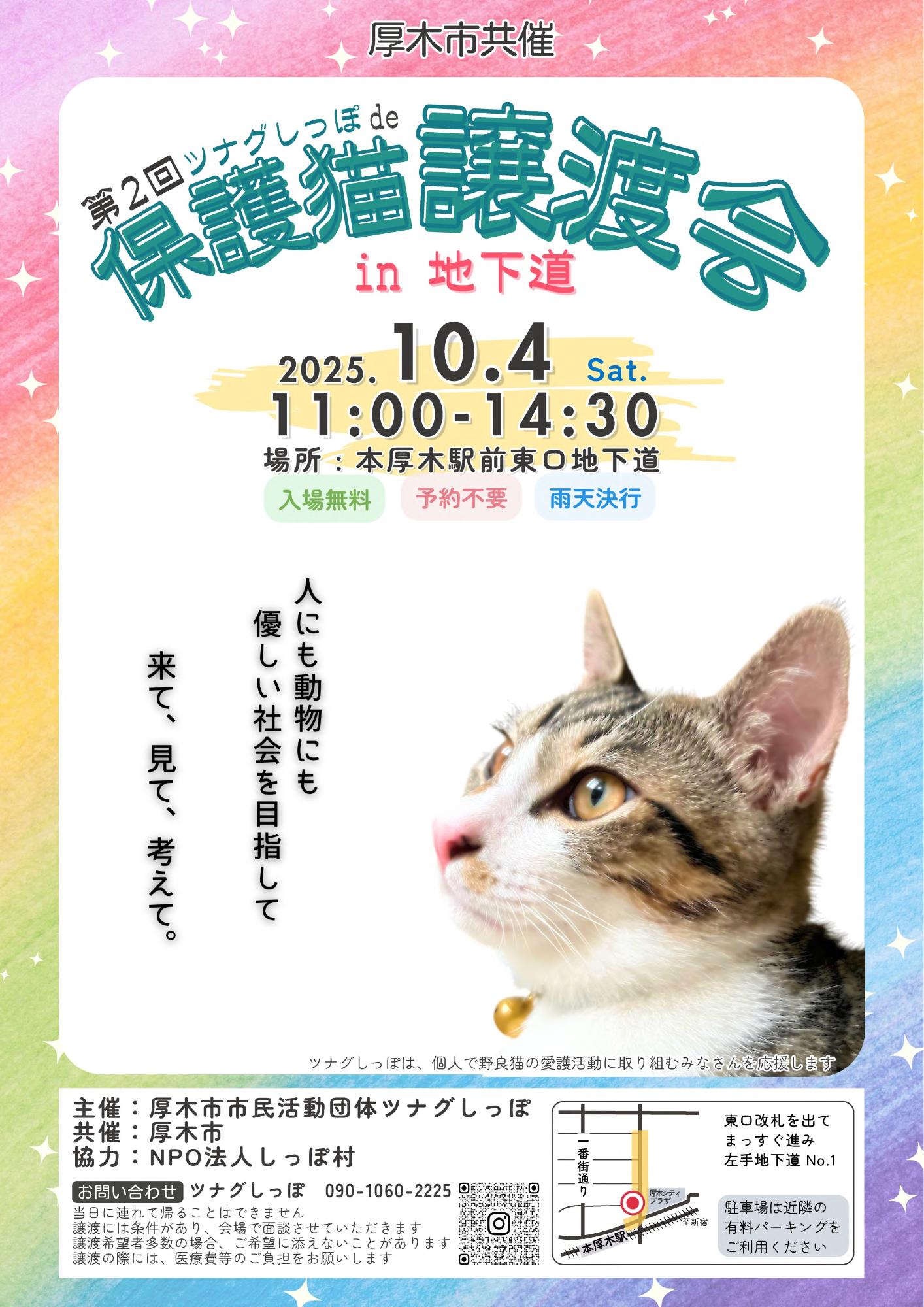 「ツナグしっぽde保護猫譲渡会in地下道」のポスター画像