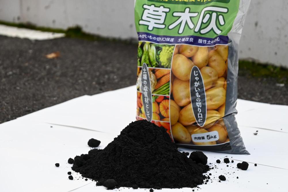 草木灰協定式 現物