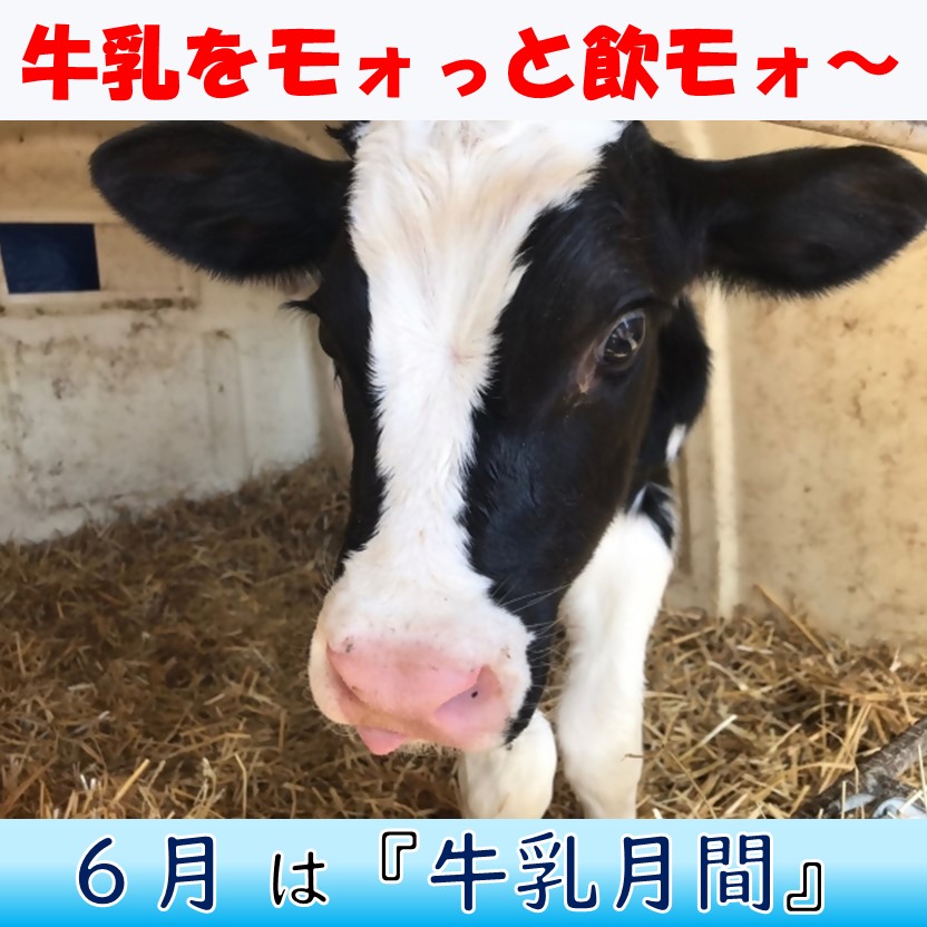 牛乳月間