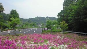 つつじの丘公園から北側駐車場を撮影した写真