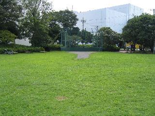 芝生がきれいに整備されており、緑に囲まれた長沼公園グラウンドの写真