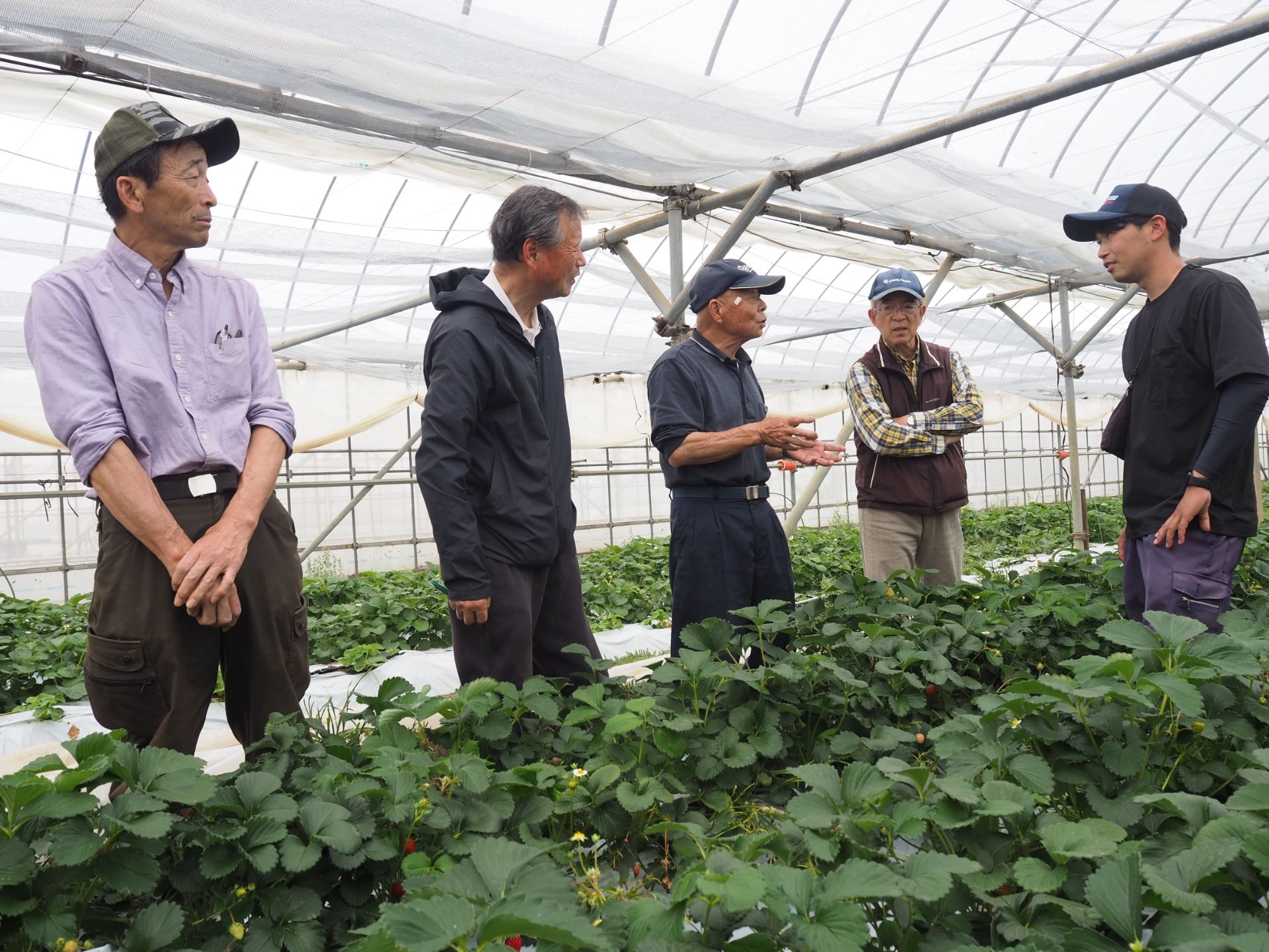 農委だより96号 経営の状況を聞き取り、アドバイスをする委員たち