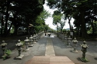 飯山白山 はくさん 森林公園 厚木市