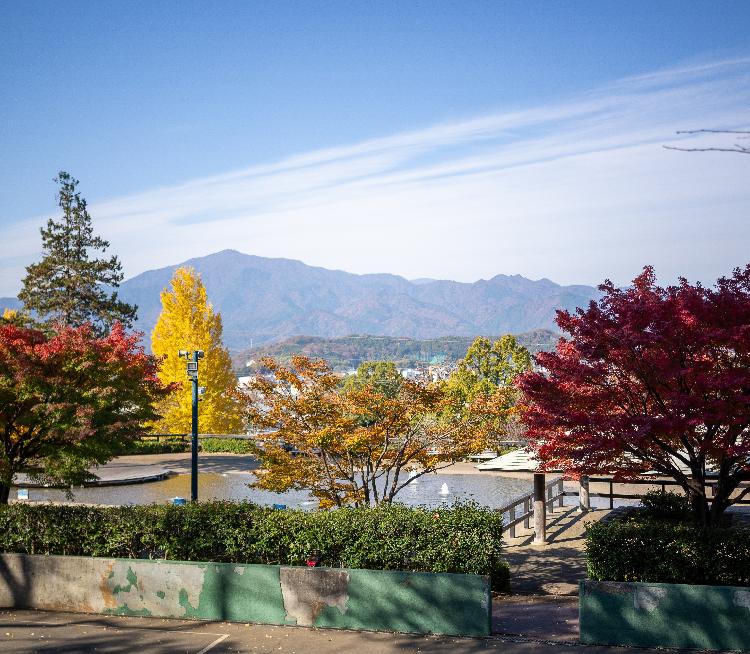 ぼうさいの丘の紅葉