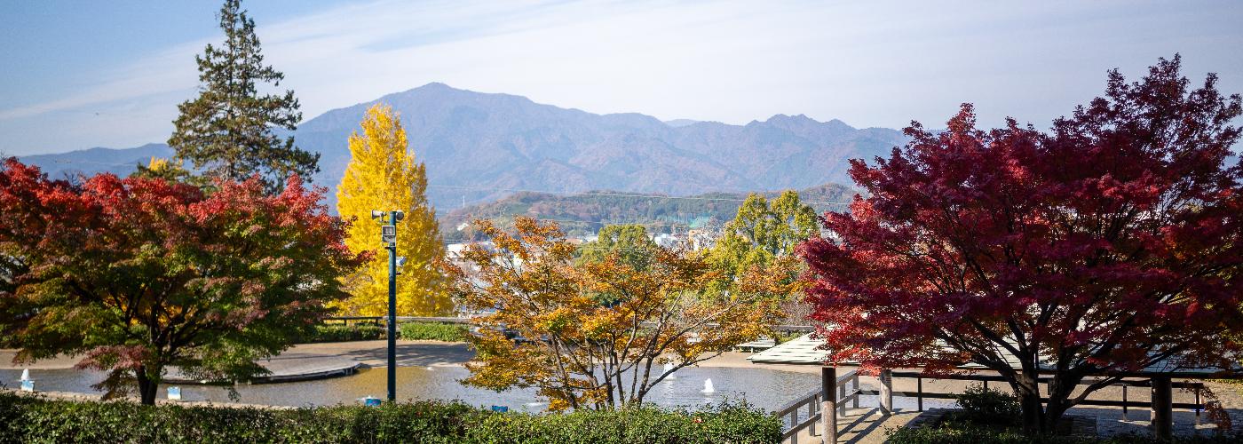 ぼうさいの丘公園の紅葉