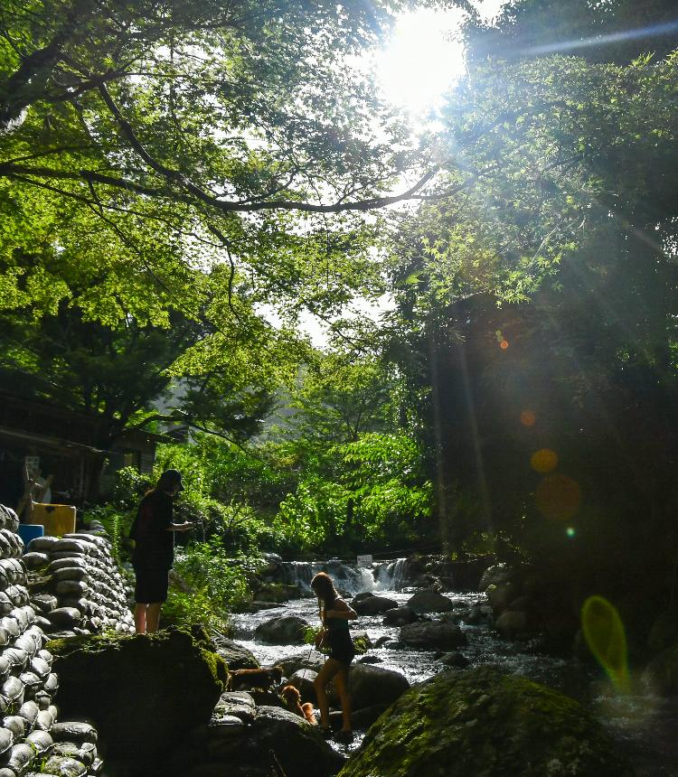 七沢川