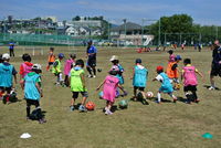 子供達がグラウンドでサッカーボールを蹴っている写真