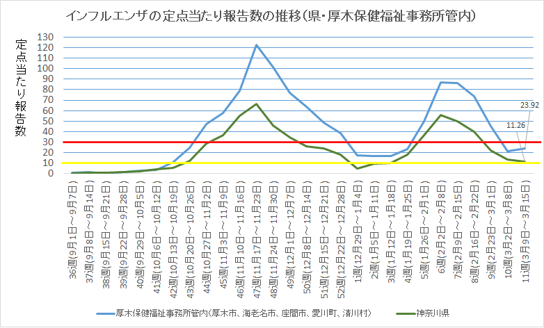 11週