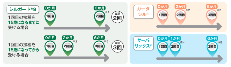 ヒトパピローマウイルスワクチンの接種間隔画像