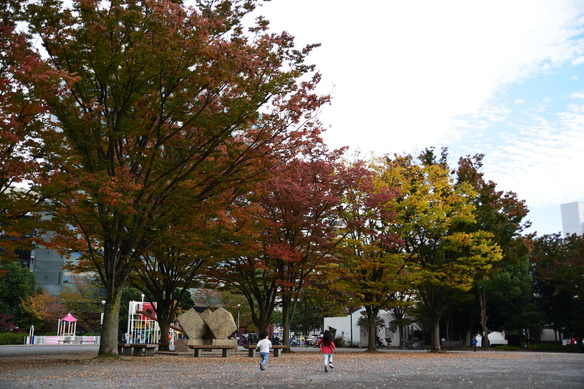 中央公園
