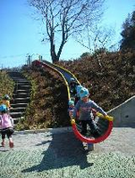 高台の木の左側から降りる、長いすべり台から降りてきて遊んでいる園児たちの写真