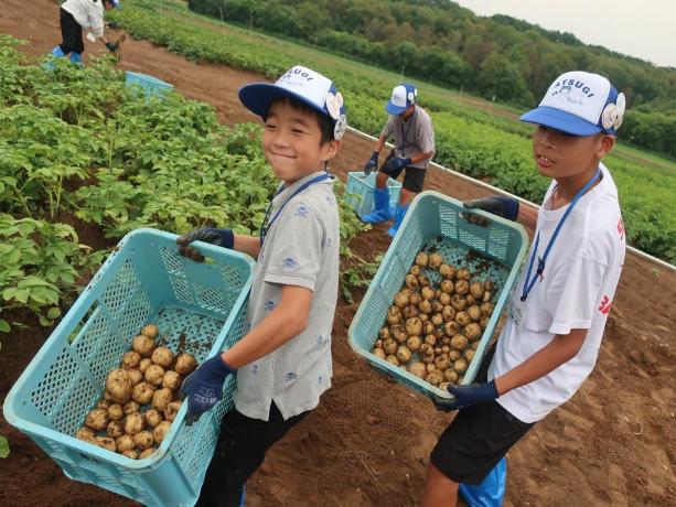 東京農業大学寒冷地農場でジャガイモをほる厚木市のこどもたち