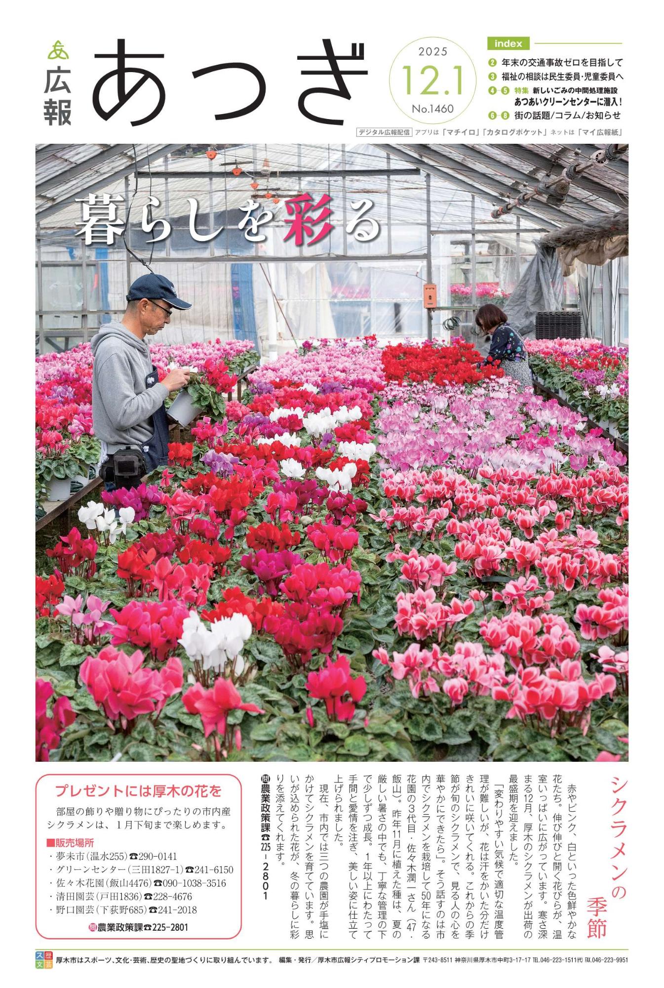 広報あつぎ12月1日号表紙
