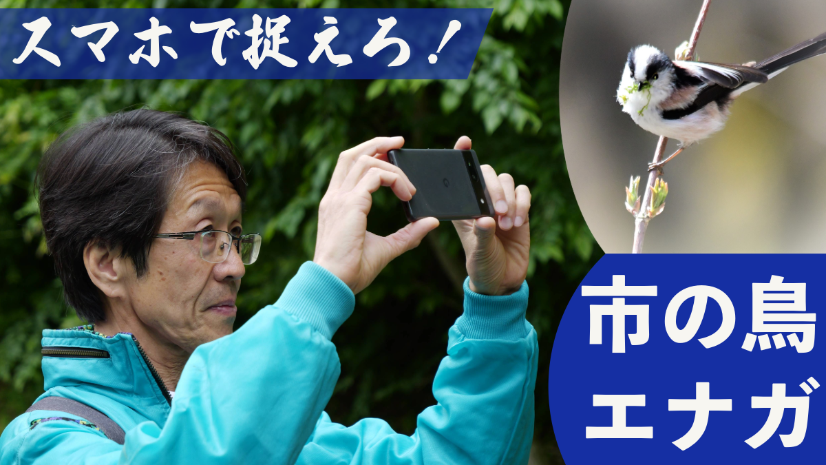 あつぎ愛テレビ2026年5月2回目