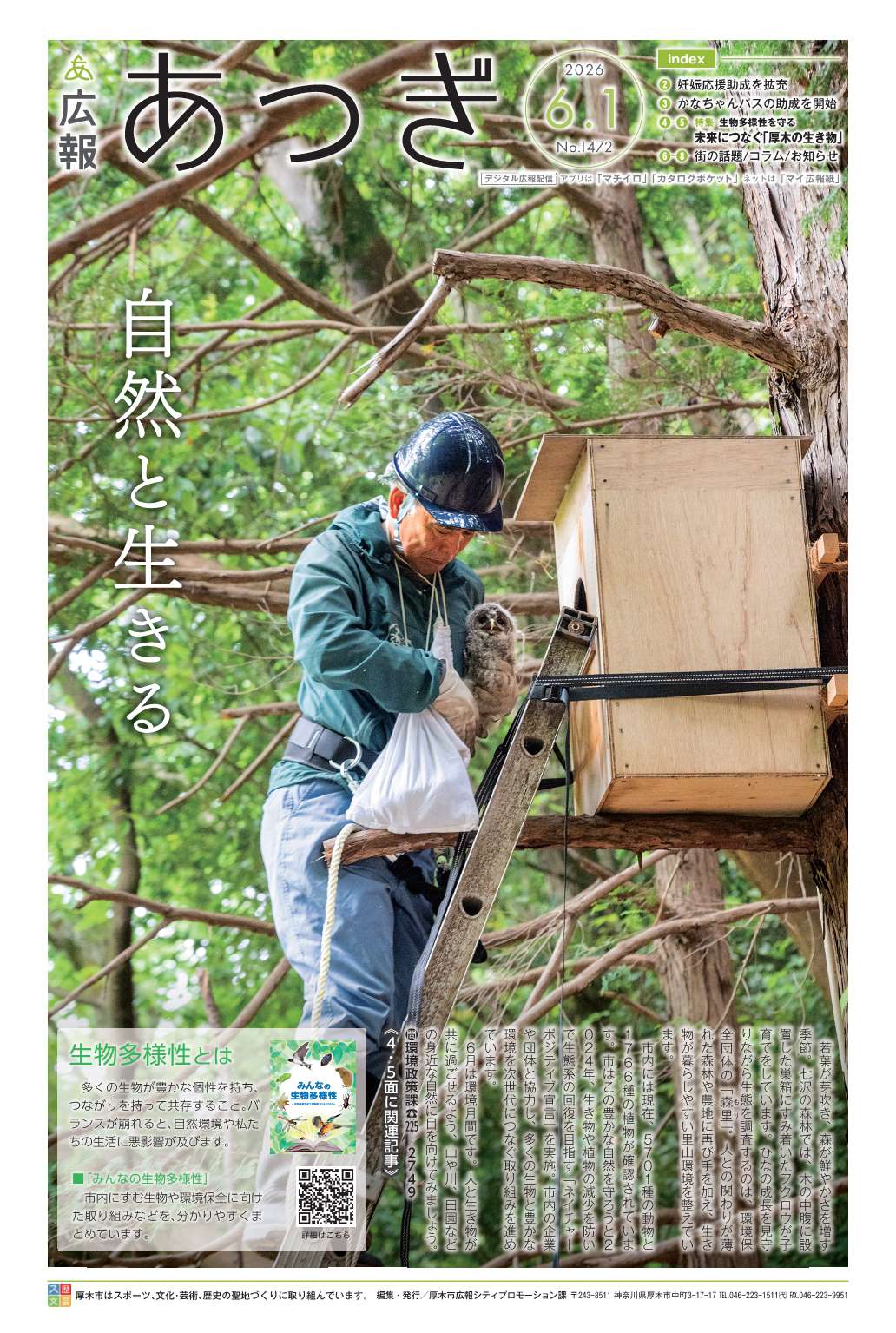 広報あつぎ6月1日号1面の画像