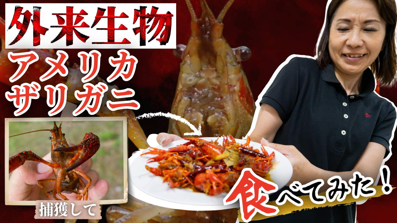 8月1回目サムネ