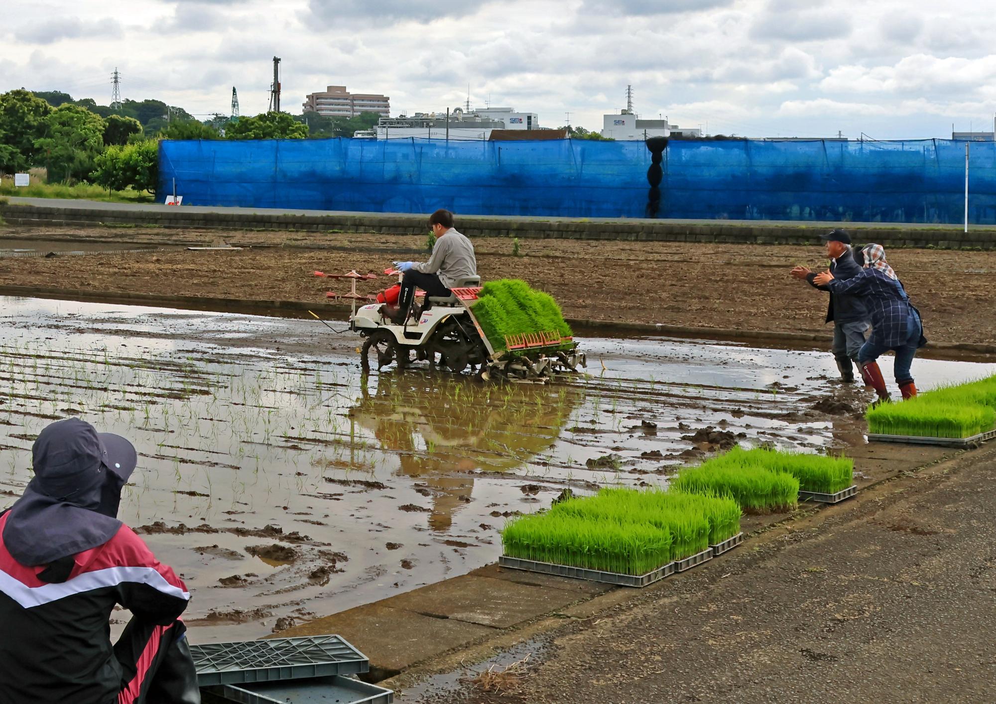 第53回広報写真コンクール神奈川新聞社賞の頼んだよ！