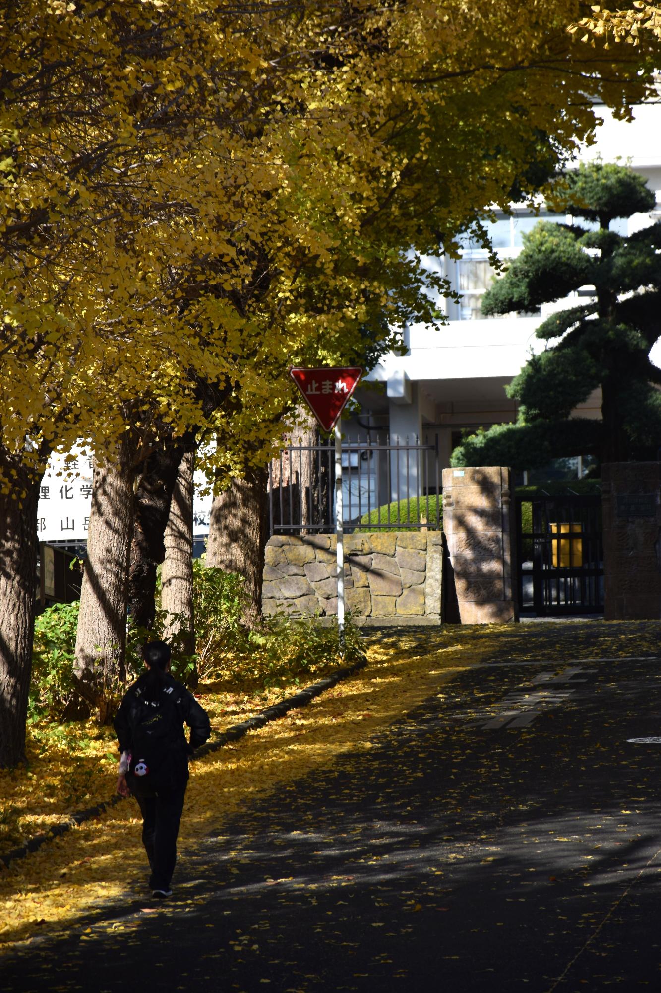 第53回広報写真コンクール入選の止まれ、秋