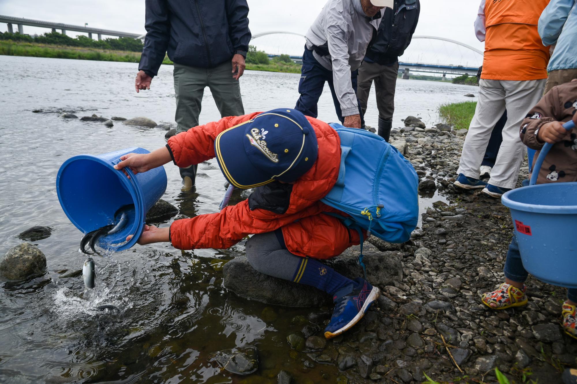 アユの稚魚を放流する様子