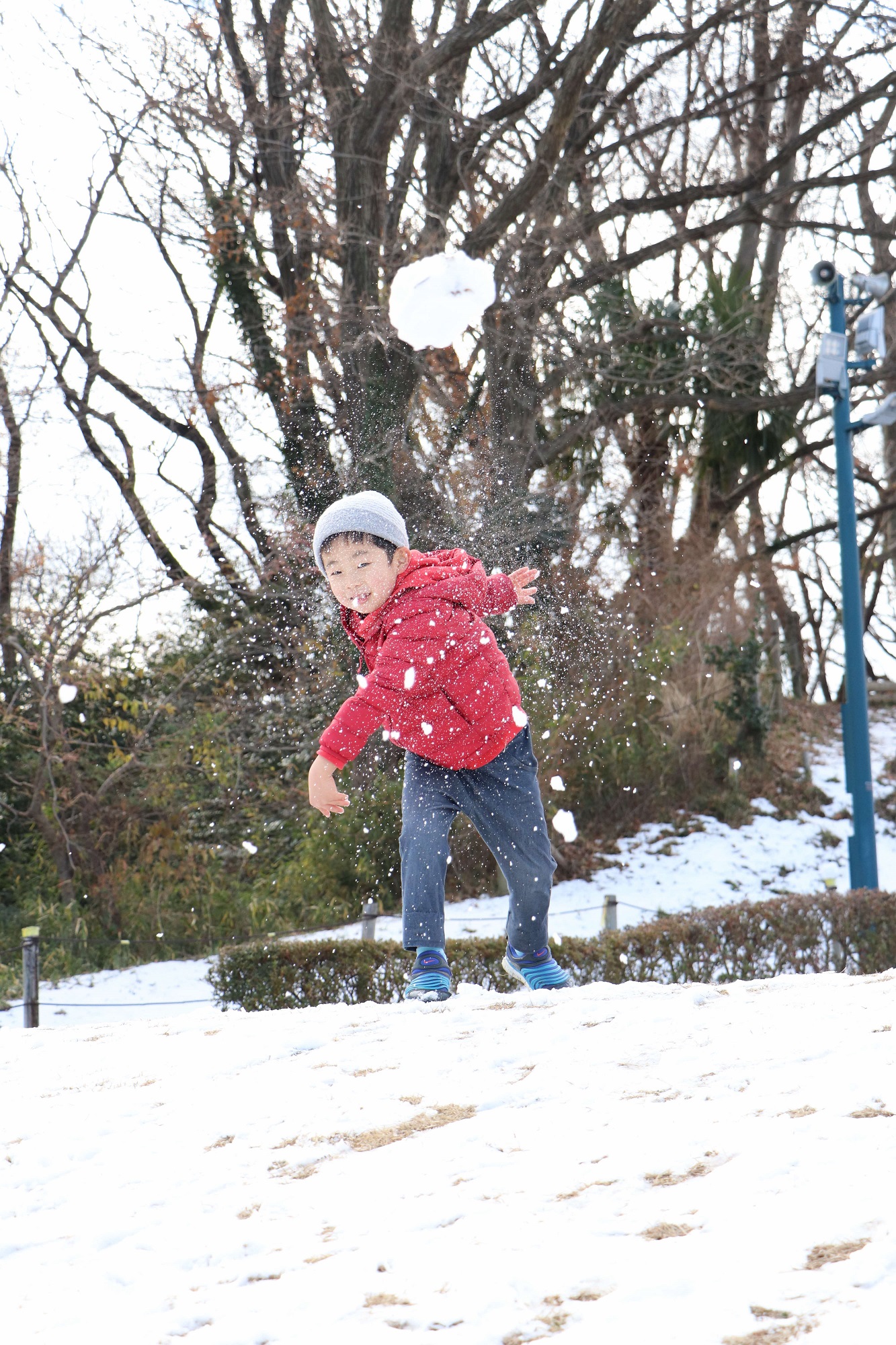 第50回厚木市広報写真コンクール一般部門の神奈川新聞社賞受賞作品「雪遊び」