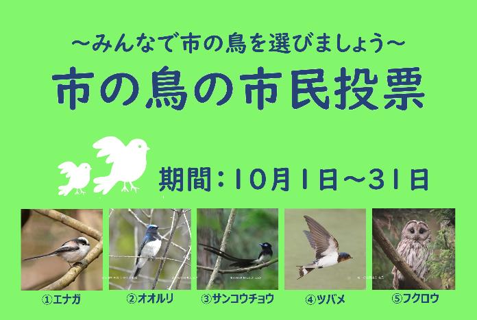 市の鳥の市民投票