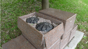 「スイカはいかが」の作品を撮影した写真。作品は公園の石段の上に設置されており、薄い四角の形をした灰色の土台の上に、薄い茶色の箱の中に黒色のスイカが2個入っているオブジェが置かれている。