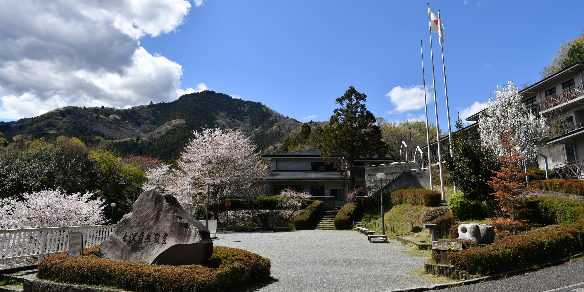 七沢自然ふれあいセンター