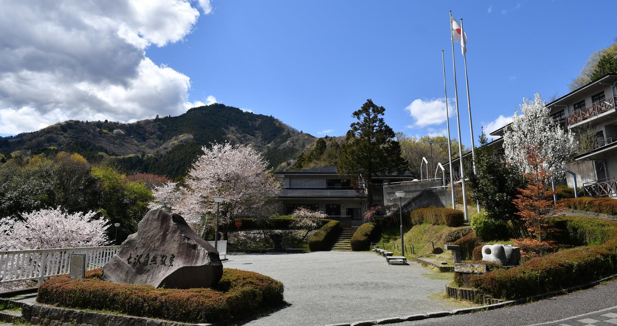 七沢自然ふれあいセンター2