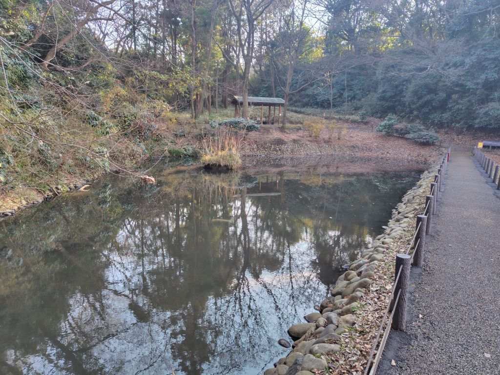 実験126日目の様子1