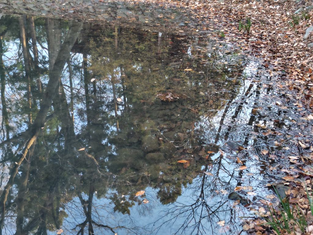 実験126日目の様子2