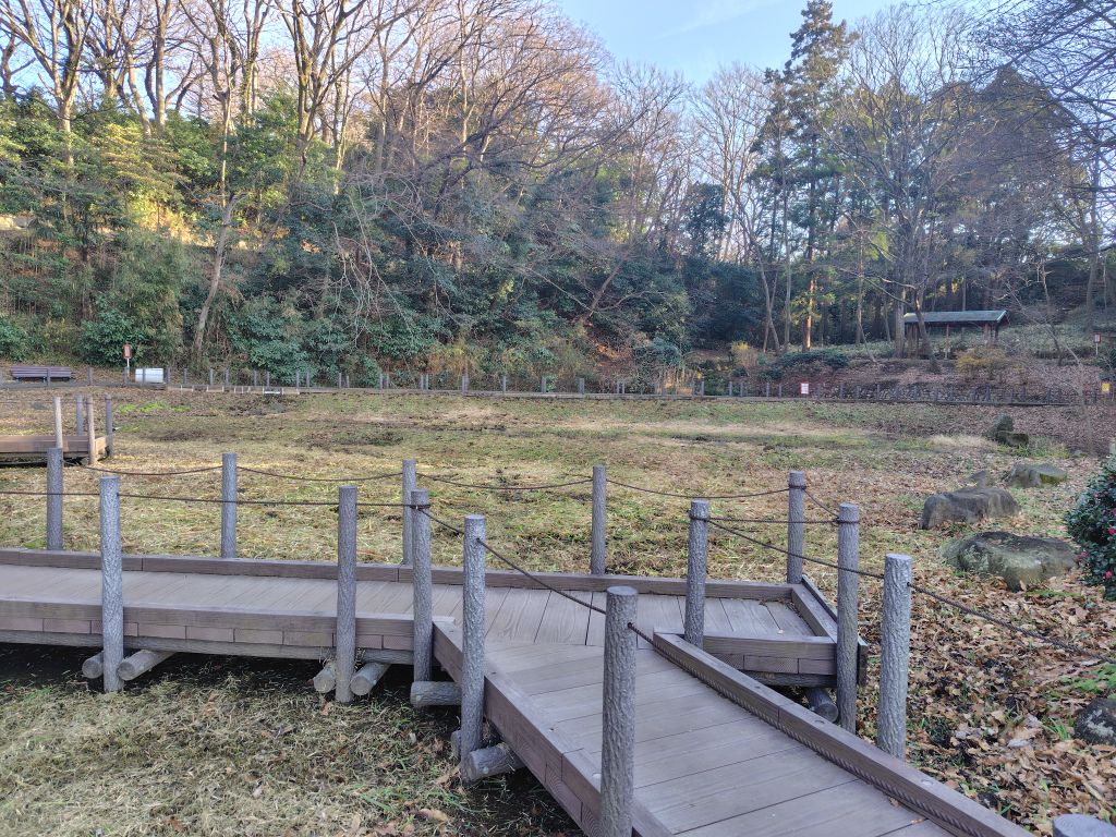 実験126日目の様子5