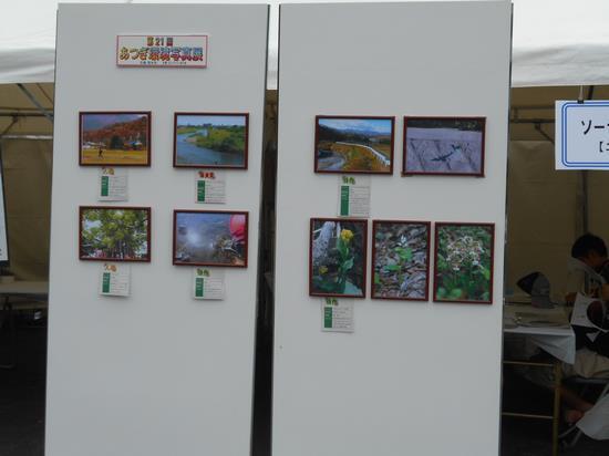 パネルに展示されている9枚の環境写真展の入賞作品の写真