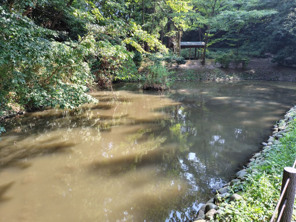実験前1