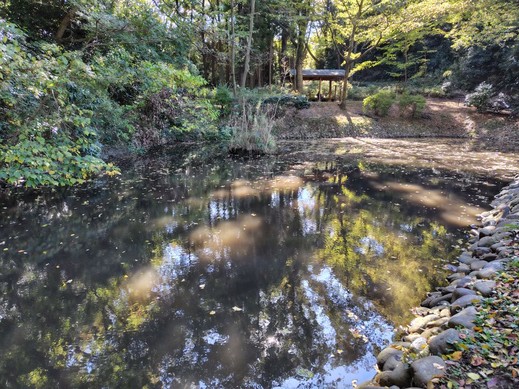 実験77日目の様子1