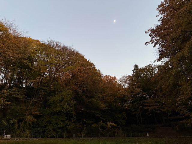 実験89日目の様子1