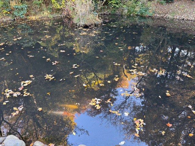 実験90日目の様子