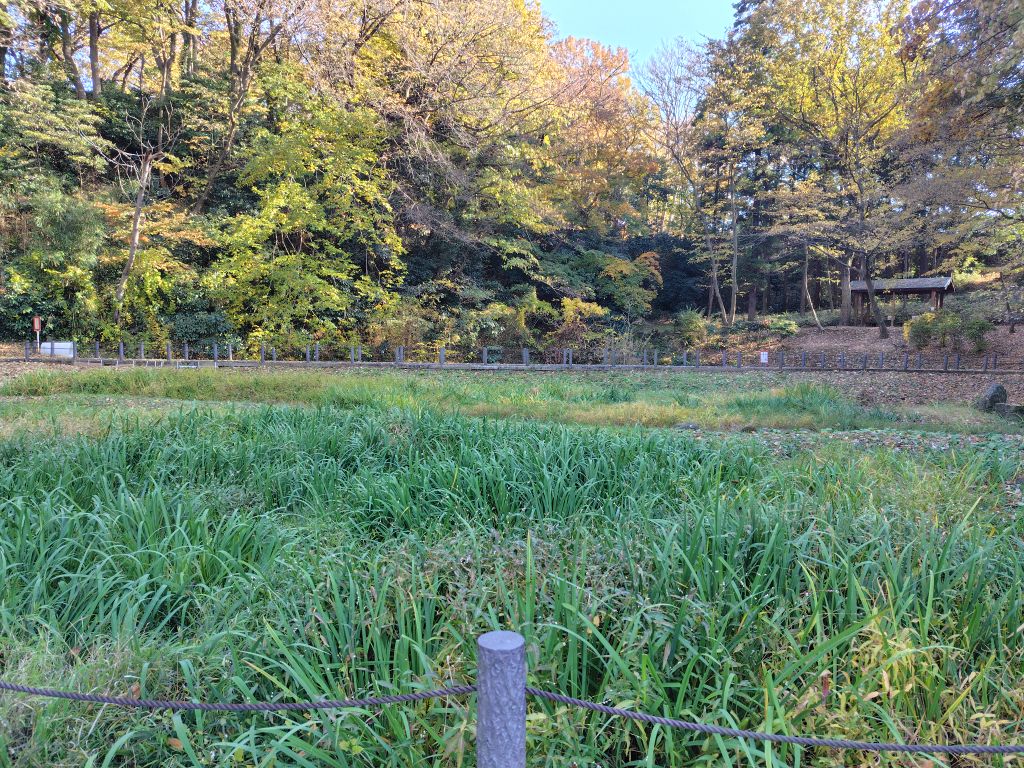 実験91日目の様子1