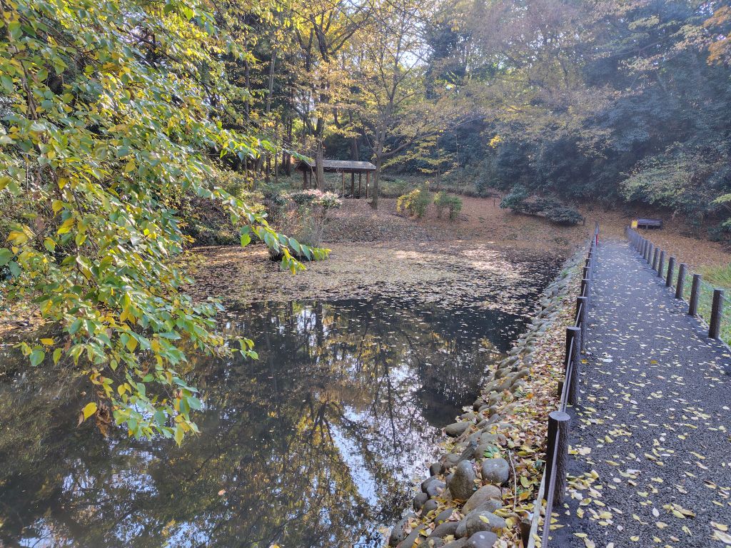 実験91日目の様子2