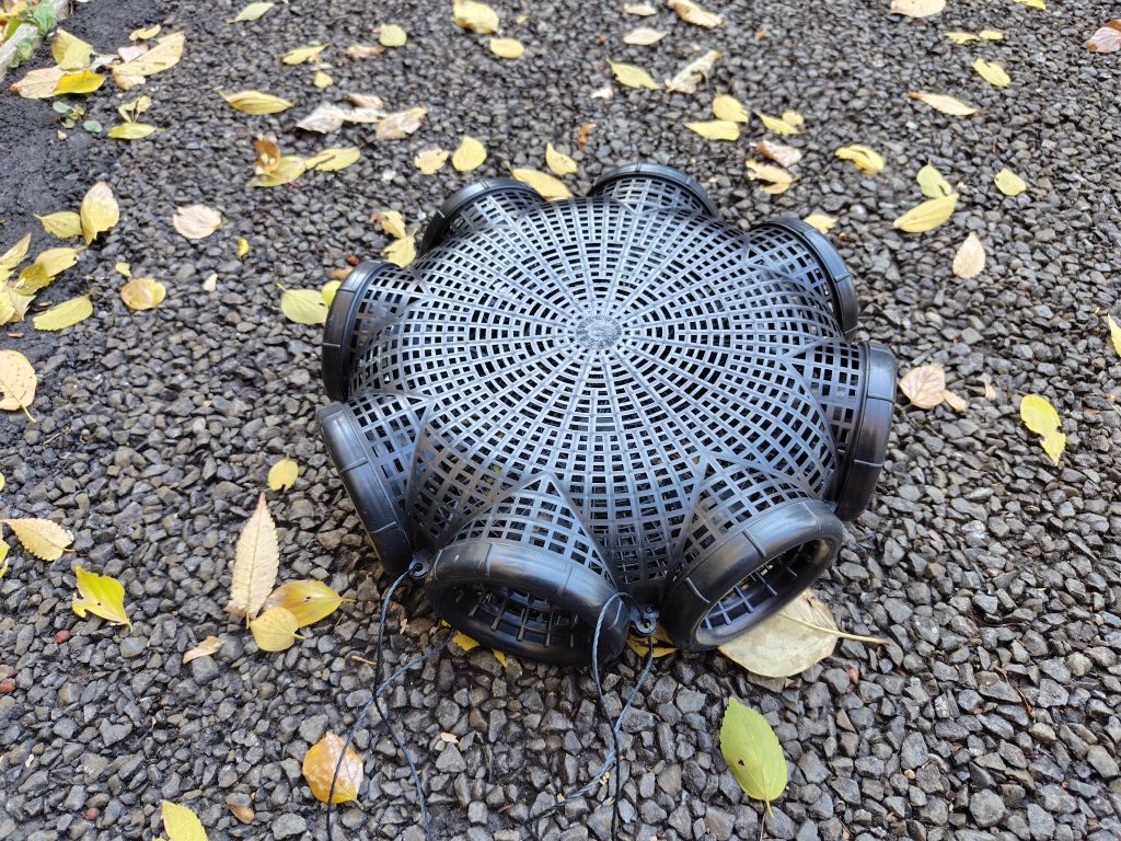 実験91日目の様子5